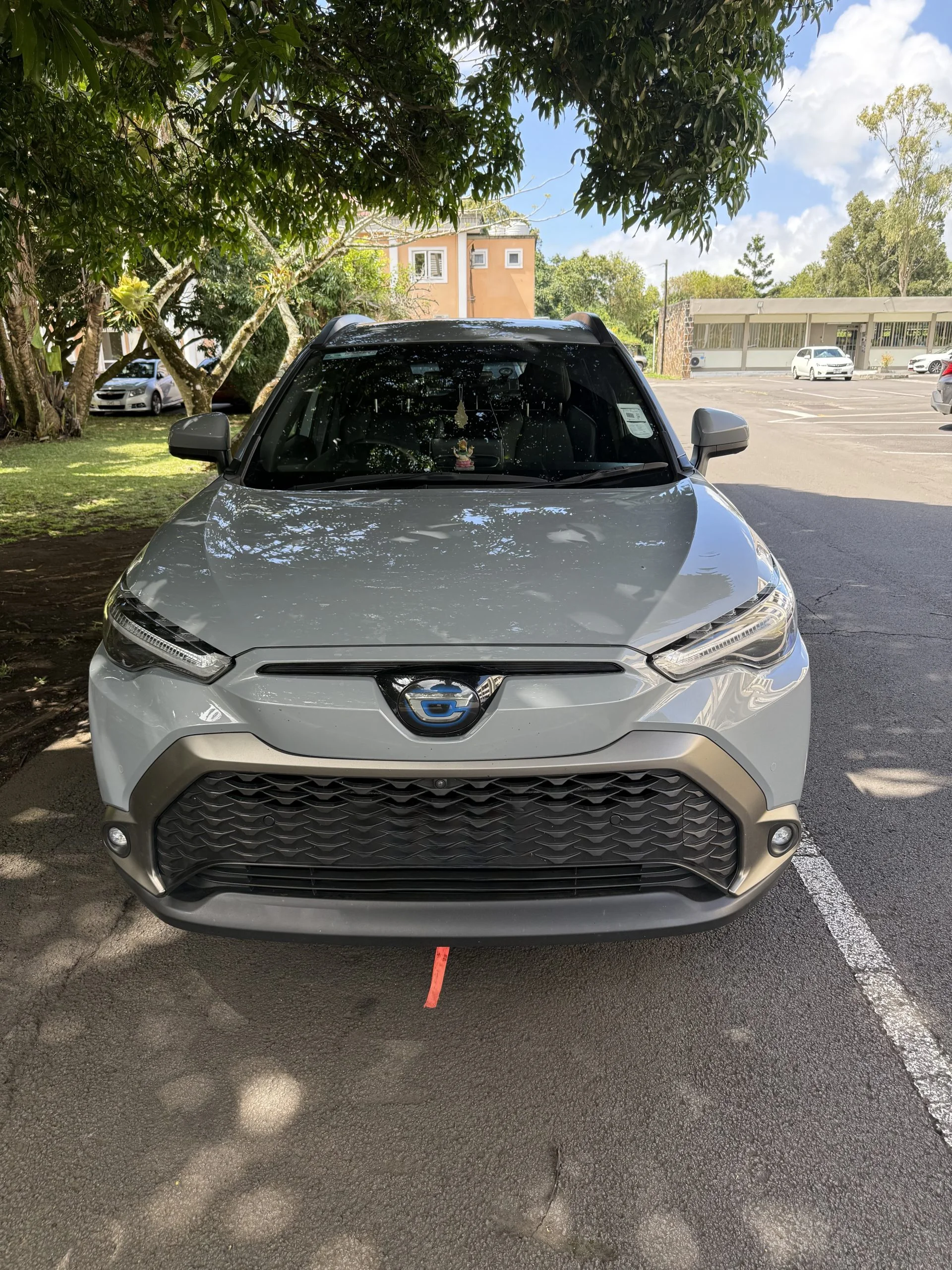 mauritius car rental